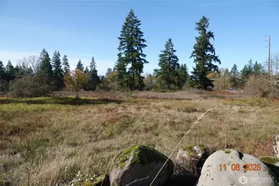 8416 State Route 702 S, Roy, WA 98580 - Photo 1