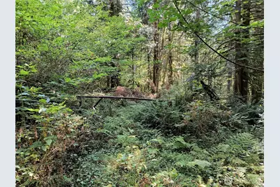 300000 Draggart, Monroe, WA 98272 - Photo 1