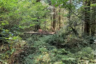 300000 Draggart, Monroe, WA 98272 - Photo 1