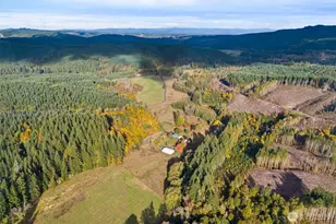 807 Allender Rd, Ryderwood, WA 98581 - Photo 1