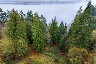 205 W Newt Estates Rd, Longview, WA 98632 - Photo 1