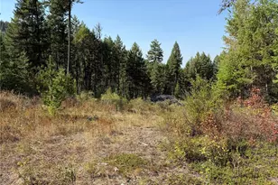 0 St Peters Creek Rd, Malo, WA 99150 - Photo 1