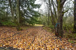 3 Grimm Rd, Kelso, WA 98626 - Photo 1