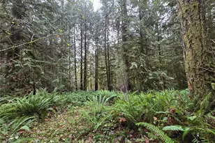 245 Cousins Rd, Chehalis, WA 98532 - Photo 1