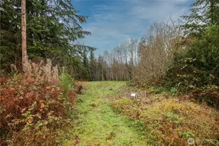 124 Old Hill Rd, Aberdeen, WA 98520 - Photo 1