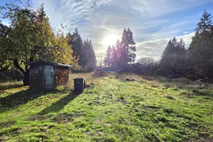 10524 Clark Rd SE, Yelm, WA 98597 - Photo 1