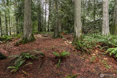 22 Jasper Ridge Lane, Bellingham, WA 98229 - Photo 1