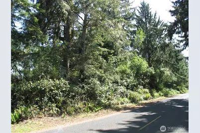 38385 Stackpole Road, Oysterville, WA 98641 - Photo 1