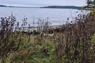 8415 SE Southworth Dr, Port Orchard, WA 98366 - Photo 1