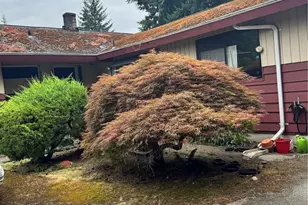 12635 SE 30th St, Bellevue, WA 98058 - Photo 1