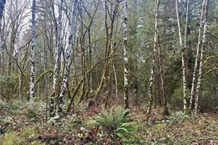 221 SE Lagoon Ln, Shelton, WA 98584 - Photo 1