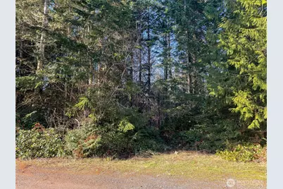 999 Old Coyle Road, Quilcene, WA 98376 - Photo 1