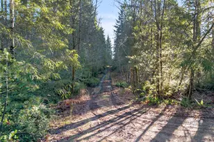730 NE Black Bear Rd, Belfair, WA 98528 - Photo 1