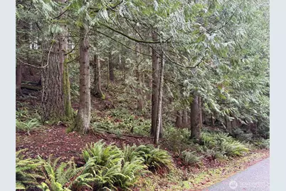 52 High Cliff Lane, Bellingham, WA 98229 - Photo 1