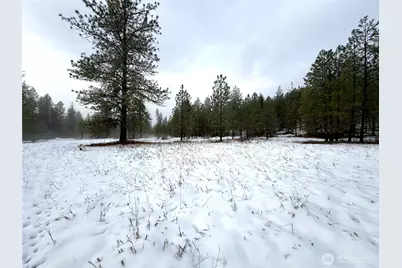 122 Art Creek Road, Malo, WA 99150 - Photo 1