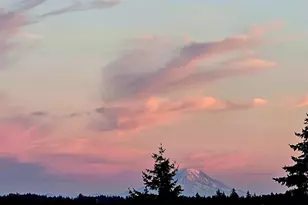 1735 W Sunn Fjord, Bremerton, WA 98312 - Photo 1