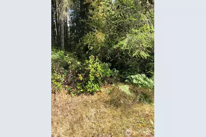 11419 Leschi Circle, Anderson Island, WA 98303 - Photo 1