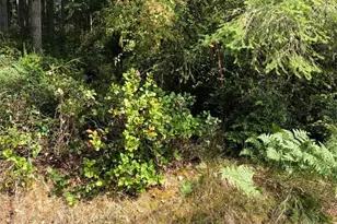 11419 Leschi Cir, Anderson Island, WA 98303 - Photo 1