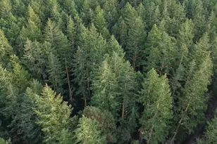 927 Bell St, Port Townsend, WA 98368 - Photo 1