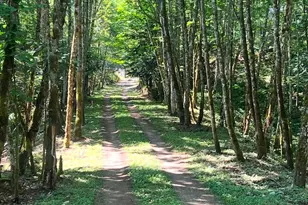 19713 196th Ave E, Orting, WA 98360 - Photo 1