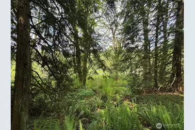 16113 NE 124th Street, Redmond, WA 98052 - Photo 1