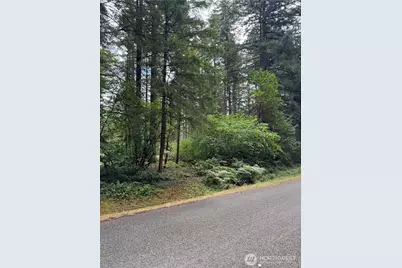 9708 Otso Point Road, Anderson Island, WA 98303 - Photo 1