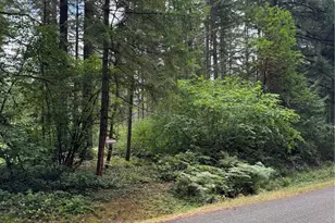 9708 Otso Point Rd, Anderson Island, WA 98303 - Photo 1