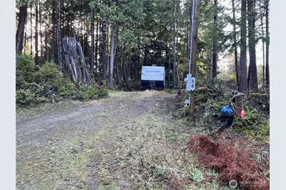 56 Rainbow Lane, Pacific Beach, WA 98571 - Photo 1