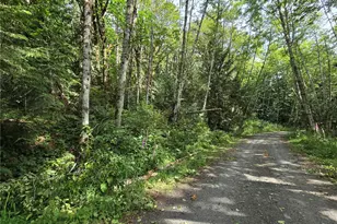 0 Xxx Triton Heights Rd, Lilliwaup, WA 98555 - Photo 1