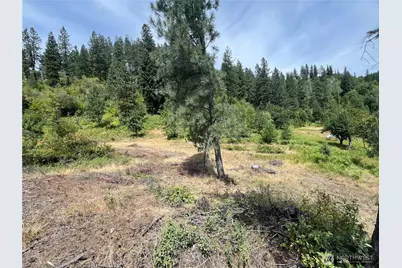 0 1 Tbd Mitchell Road, Northport, WA 99157 - Photo 1