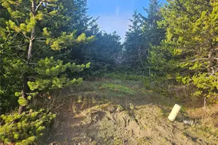 276 S Wynoochee Dr SW, Ocean Shores, WA 98569 - Photo 1