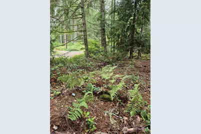 11119 122nd Avenue Ct, Anderson Island, WA 98303 - Photo 1