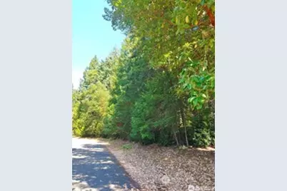 12611 Silver Drive, Anderson Island, WA 98303 - Photo 1
