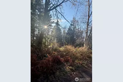 51 Fox Road, Quilcene, WA 98376 - Photo 1