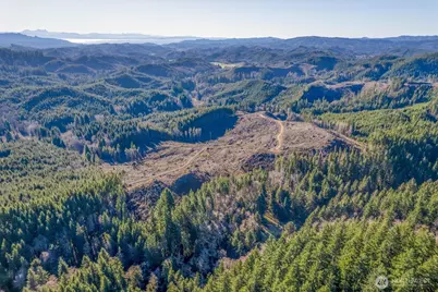 0 West Deep River Road, Deep River, WA 98638 - Photo 1