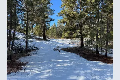 0 Tbd Cartwright Drive #Lot 1, Tonasket, WA 98855 - Photo 1