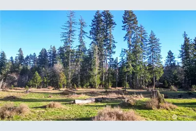 441 Elma Hicklin Rd W, McCleary, WA 98557 - Photo 1