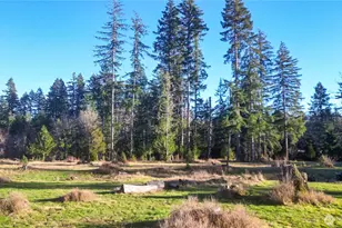 441 Elma Hicklin Rd W, McCleary, WA 98557 - Photo 1