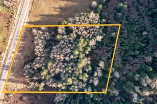 51720 Mountain Hwy E, Eatonville, WA 98328 - Photo 1