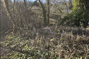 8826 3rd Ave S, Seattle, WA 98108 - Photo 1