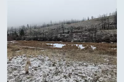 20 Rainbow Road, Oroville, WA 98844 - Photo 1