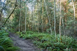 9999 Umatilla Ave, Port Townsend, WA 98368 - Photo 1