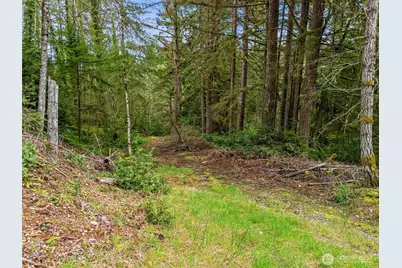 71 E Sleaford Road, Shelton, WA 98584 - Photo 1