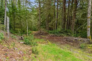 71 E Sleaford Rd, Shelton, WA 98584 - Photo 1