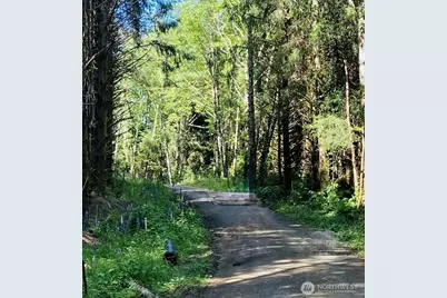 290 Lot 4 Luttrell Lane, Chinook, WA 98614 - Photo 1