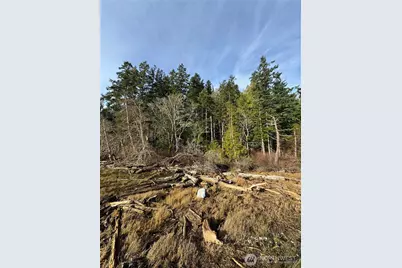0 Hazel Point, Quilcene, WA 98376 - Photo 1