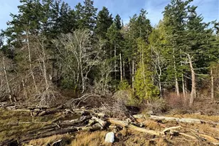 0 Hazel Point, Quilcene, WA 98376 - Photo 1