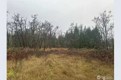 44606 Concrete Sauk Valley Road, Concrete, WA 98237 - Photo 1