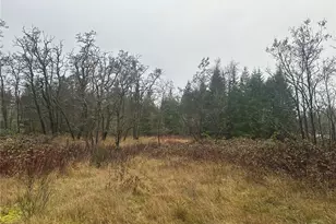 44606 Concrete Sauk Valley Rd, Concrete, WA 98237 - Photo 1