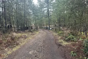 231 W Simpson St, Shelton, WA 98584 - Photo 1